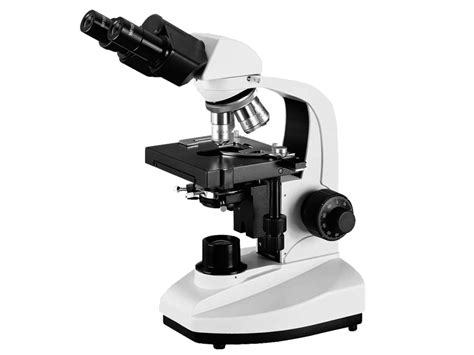 Bl 340 Optional Dual Viewing Tube Biological Microscopemicroscope X