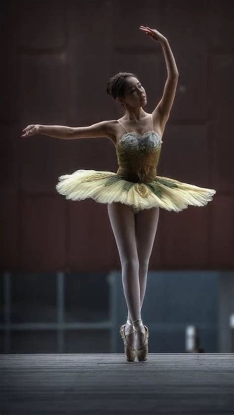 Pin By Vk On Leleganza E La Bellezza Dellarte Del Balletto Dance