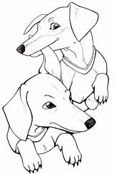 Dachshund Coloring Printable Drawing Puppy Adult Dog Stencil Template Haired Dogs Sheets Weiner Dachshunds Silhouette Getcolorings Getdrawings Clube Dashund sketch template