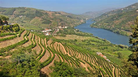 Portugals Douro Valley Is The Home Of Port Wine Twisting Valleys And