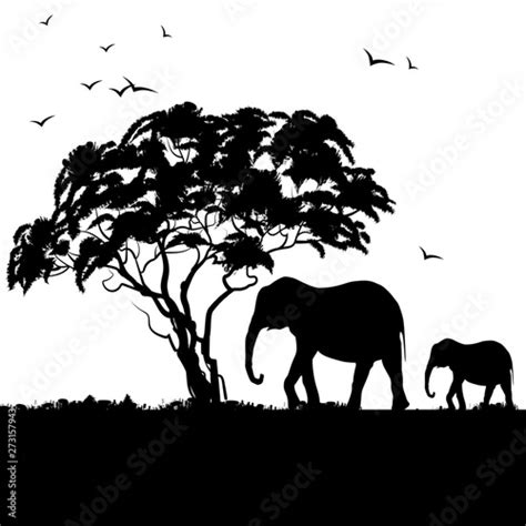 Black African Landscape With Silhouettes Of African Tree Acacia And