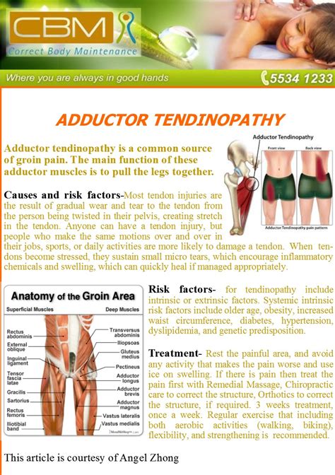 Adductor Tendinopathy Correct Body Maintenance