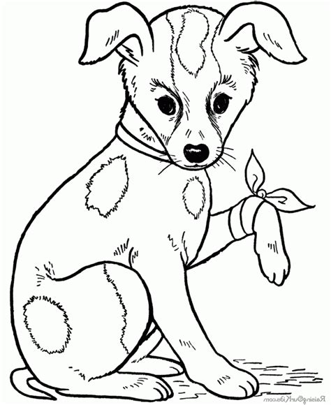 Coloriage chien gratuit en ligne  1001 Animaux