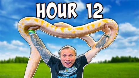 I Spent 14 Hours With Snakes Doing This Youtube