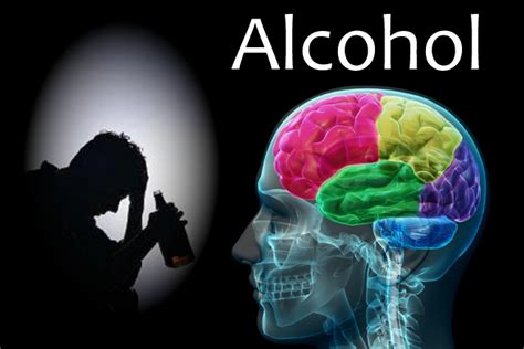 Alcohols Detrimental Long Term Effects On Both The Brain And Body