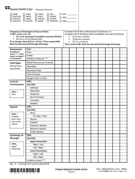 Neuro Check Flow Sheet Fill Online Printable Fillable Blank