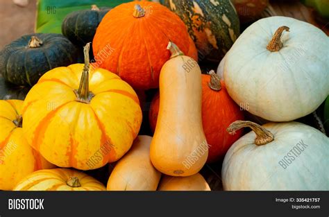 Fall Harvest Image And Photo Free Trial Bigstock