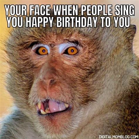 50th Birthday Memes Memes To Celebrate Your Big 5 0 The Meme Site