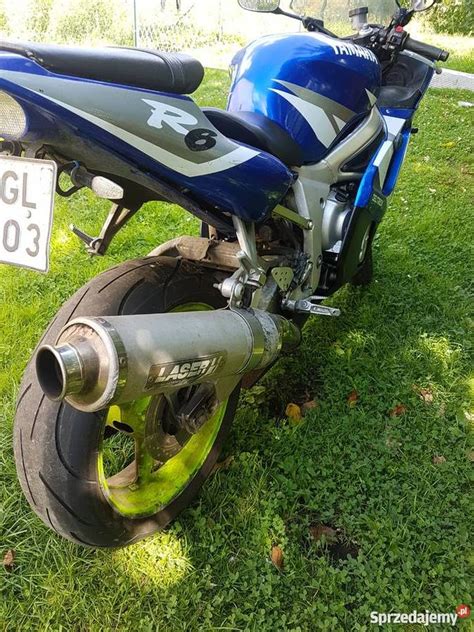 Yamaha yzf600r thundercat used buyers' guide. Yamaha r6 yzf 600cc po szlifie tanio honda kawasaki r1 cbr ...