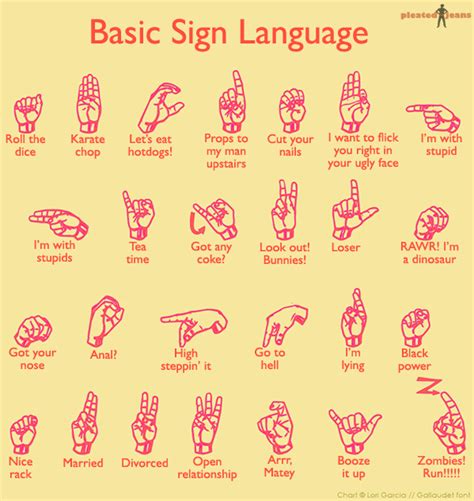 Basic Sign Language