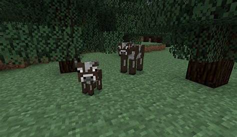 how to breed cows minecraft