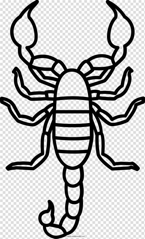 6700 Scorpion Illustrations Royalty Free Vector Graphics And Clip