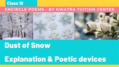 Dust Of Snow Class 10 Explanation And Poetic Devices Youtube