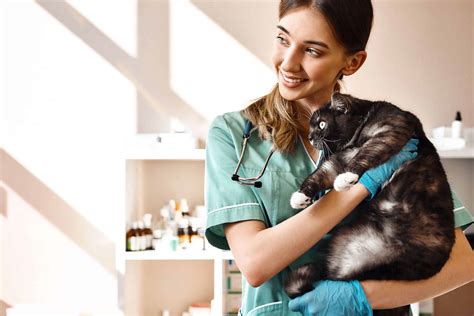 Veterinary Assistant Job Description Duties And More The Academy