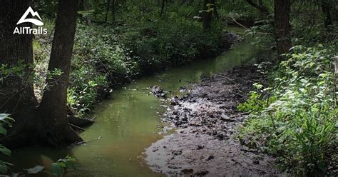 Tyler state park consists of 1,711 acres in bucks county. Best Trails in Tyler State Park - Texas | AllTrails