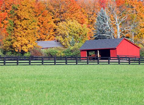 This page displays the most beautiful horse pictures of pexels. If You Only Do One Thing to "Green Up" Your Horse or Farm ...