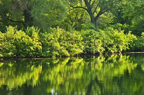Green Reflections In Water Stock Image Image Of Clean 6922229