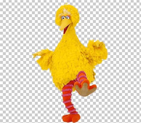 Image Big Bird Face Sesame Street Characters Sesame S