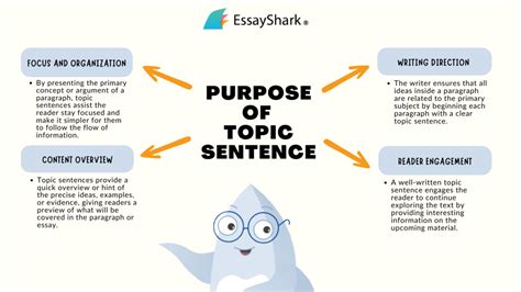 How To Write A Topic Sentence Dont Miss This Guide