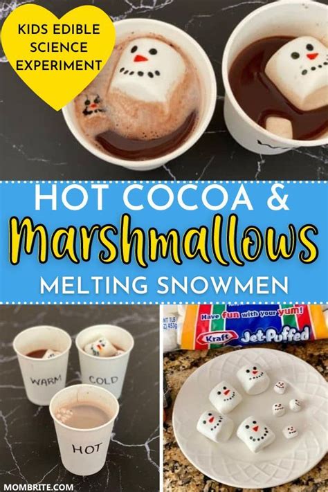 Hot Cocoa And Marshmallows Melting Snowmen Experiment Science