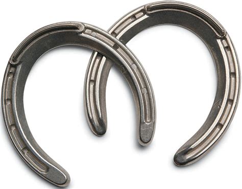Thoroughbred Sport Horse Horse Shoes
