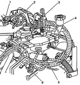 How to change a fuel filter in a chevy s10 by grace mclain updated november 07, 2017. 2000 S10 Fuel Pump Wiring Diagram
