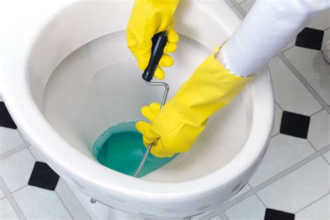 How To Clear A Blocked Toilet New Zealand Handyman Magazine Riset