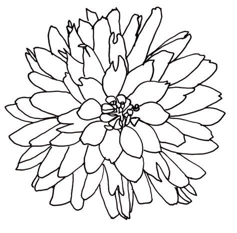 Red flowering cactus, cute trendy cactus. Line Drawing Of A Flower | Free Download Clip Art | Free ...