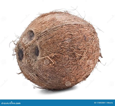 Whole Coconut On The White Stock Images Image 17305384