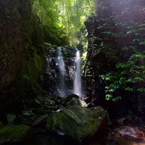 Green With Envy Box Log Falls Waterfall Lamington National Park Qld
