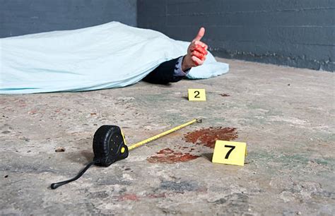 Funny Crime Scene Stock Photos Pictures And Royalty Free Images Istock