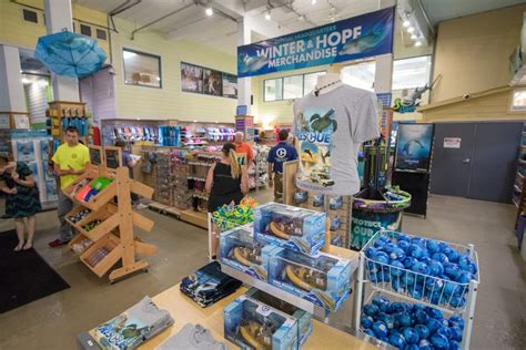 Check spelling or type a new query. Clearwater Marine Aquarium Changed The Way I See Dolphins ...