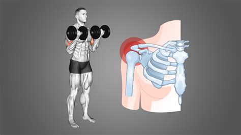 Shoulder Pain After Bicep Curls Possible Reasons Inspire US