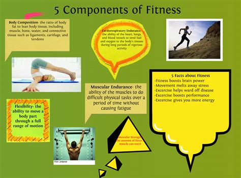1) cardiovascular endurance · 2) muscular endurance · 3) muscular strength · 4) flexibility · 5) body composition. 1103StrengthFitness- Fitness Guide/Inspiration ...