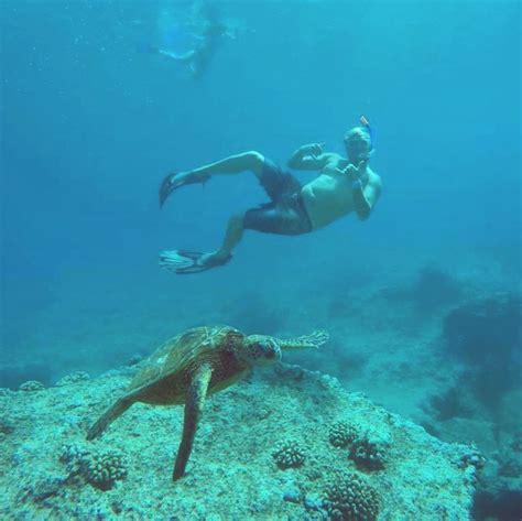 Best Places To Snorkel On Oahus North Shore Backpackers Vacation Inn