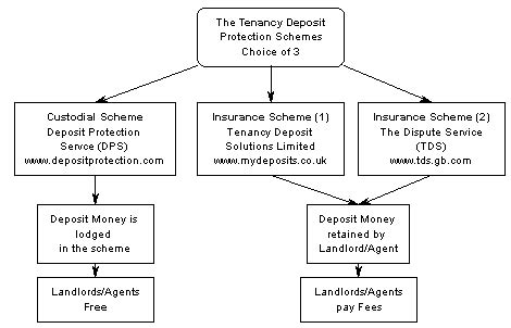 All the details you require about the deposit protection tenancy scheme. Just for the tenants! | Fish need water
