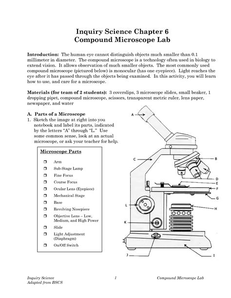 17 Best Images Of Microscope Activity Worksheets Letter E Microscope