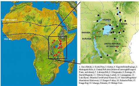 First Humans In Africa