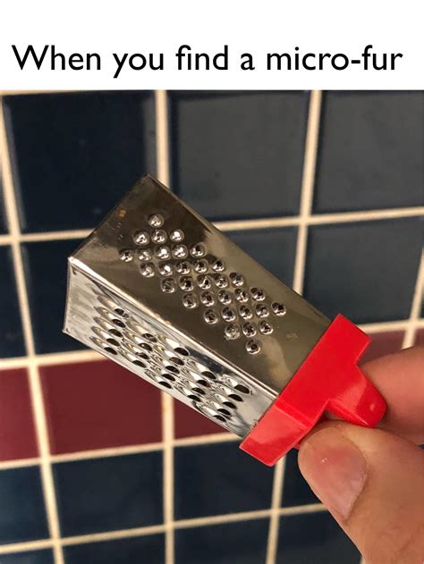 When You Find A Micro Fur The Cheese Grater Image Know Your Meme