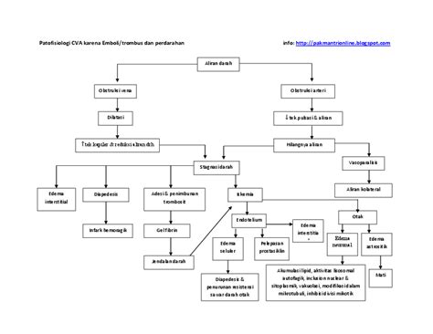Pdf Patofisiologi Cva Emboli Dan Perdarahan Inkekura Inkekura