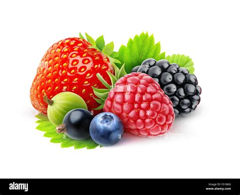 Collection Of Summer Berries Hi Res Stock Photography And Images Alamy
