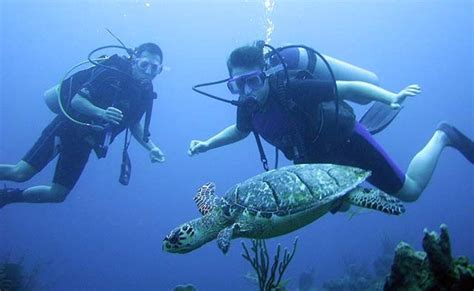 Barrier Reef Scuba Diving Belize