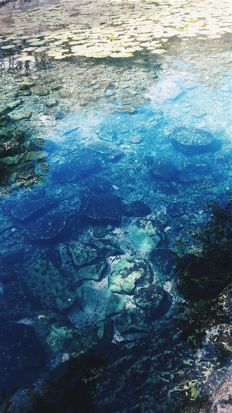 รูปภาพ มหาสมุทร ใต้น้ำ แนวประการัง แนวปะการัง คลื่นลม ชีววิทยา