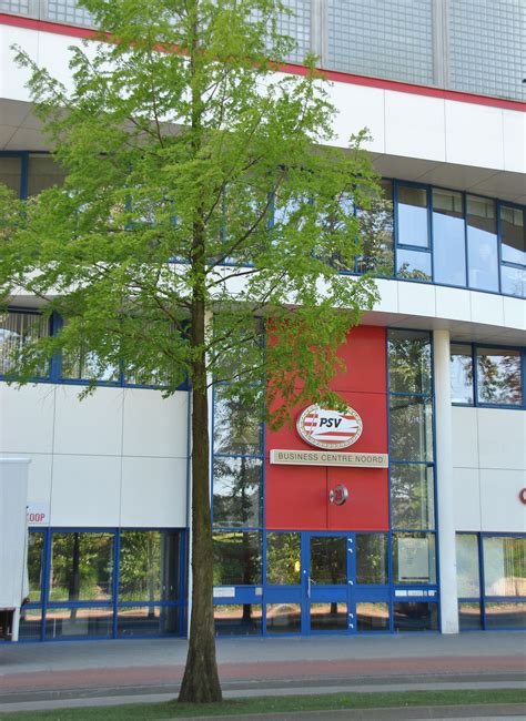26 13 5 8 37 34 +3 44 qualification to europa league second qualifying round: PSV-Stadion - Eindhoven