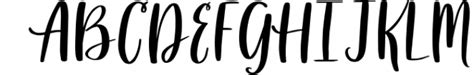 Auttie Calligraphy Font With Heart Swashes Font What Font Is
