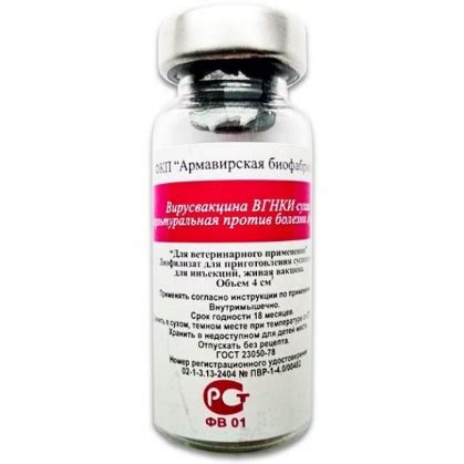 Astrazeneca releases coronavirus vaccine data. Viva academy | The causative agent of swine erysipelas