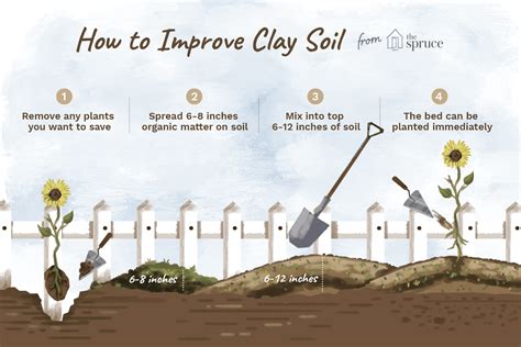Balance the ph of the soil. Understanding Clay Soil and How to Improve It
