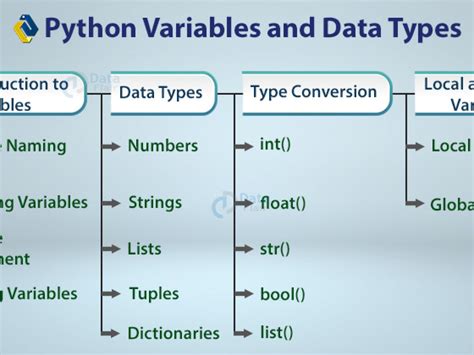 Basic Data Types In Python Programming Language Pro Code Guide Images