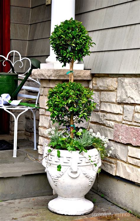 Serendipity Refined Blog Summer Urns And Container Gardens Tips And