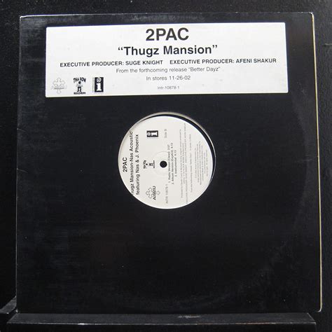 2pac Thugz Mansion Lp Vinyl Record Cds And Vinyl